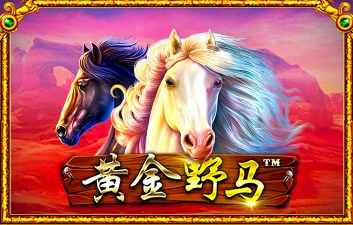 bck体育游戏平台